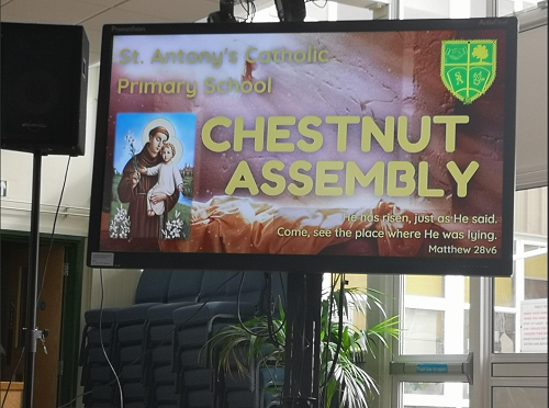 Chestnut Assembly 1